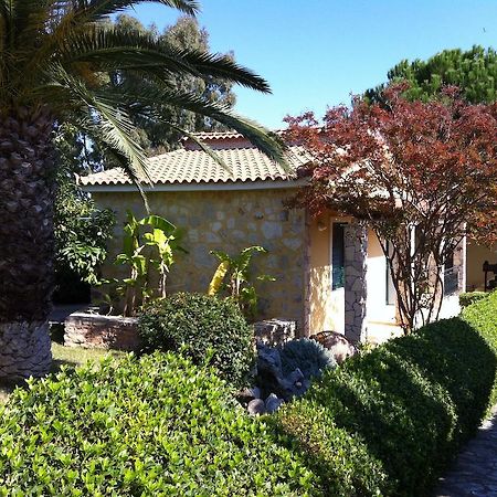 חראני 9 Muses Villas מראה חיצוני תמונה